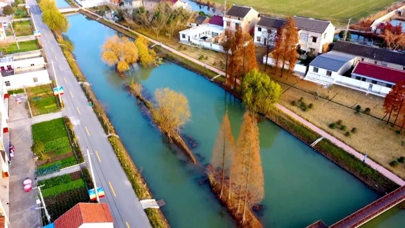 ny6_���D��.jpg